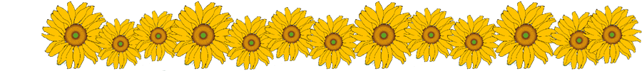 Sonnenblumen [Quelle: Berit Böhme]